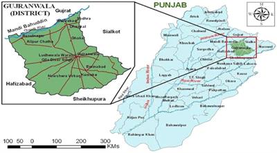 Ethnopharmacological uses of fauna among the people of central Punjab, Pakistan